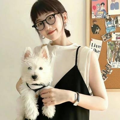 我叫赵甲第之锋芒